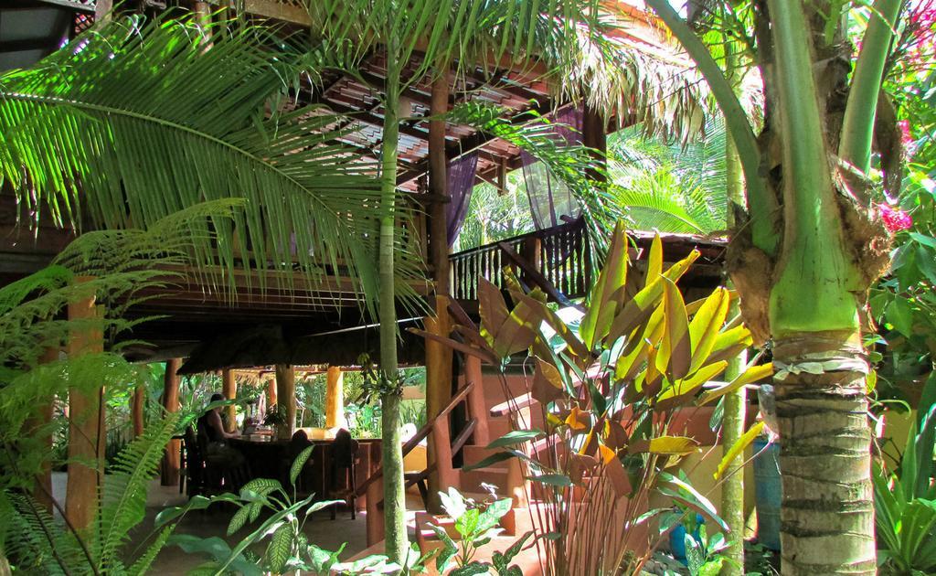 Caribe Town Bungalows Puerto Viejo de Talamanca Exteriér fotografie