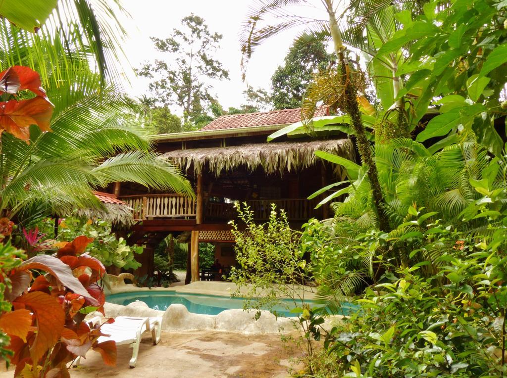 Caribe Town Bungalows Puerto Viejo de Talamanca Exteriér fotografie