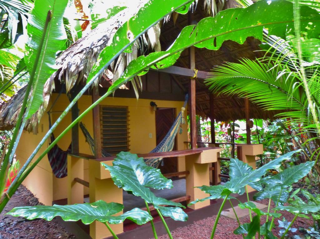 Caribe Town Bungalows Puerto Viejo de Talamanca Pokoj fotografie