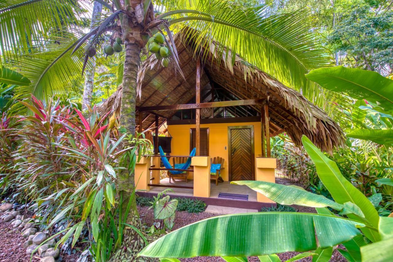 Caribe Town Bungalows Puerto Viejo de Talamanca Exteriér fotografie