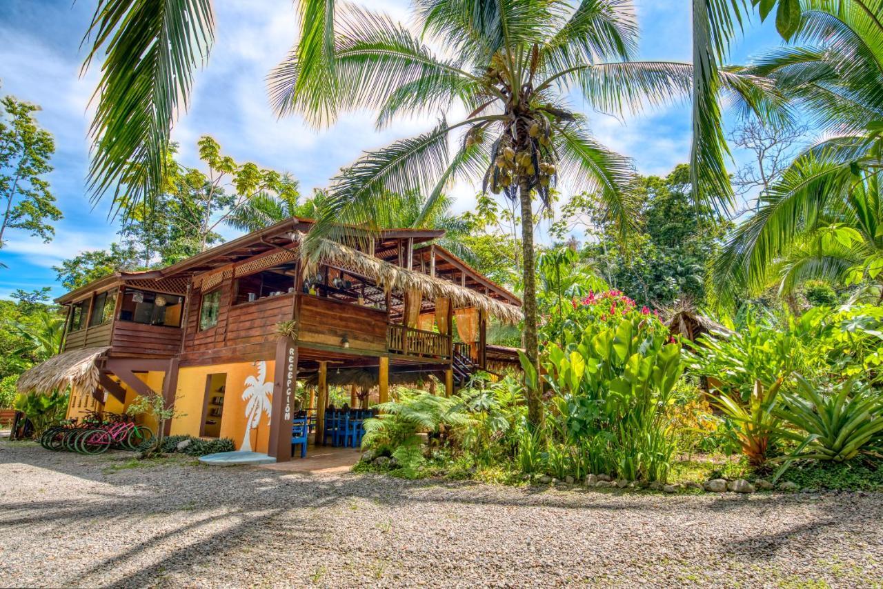 Caribe Town Bungalows Puerto Viejo de Talamanca Exteriér fotografie