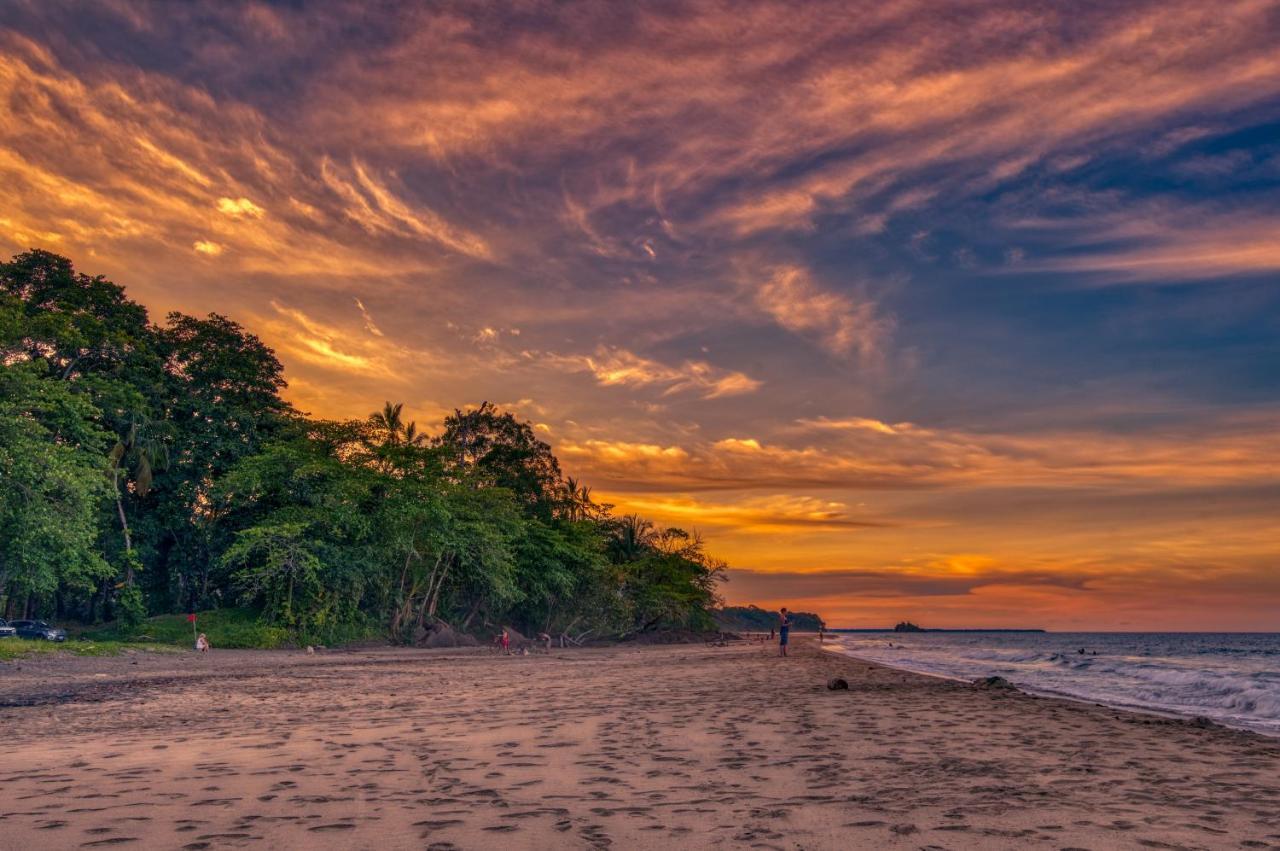 Caribe Town Bungalows Puerto Viejo de Talamanca Exteriér fotografie