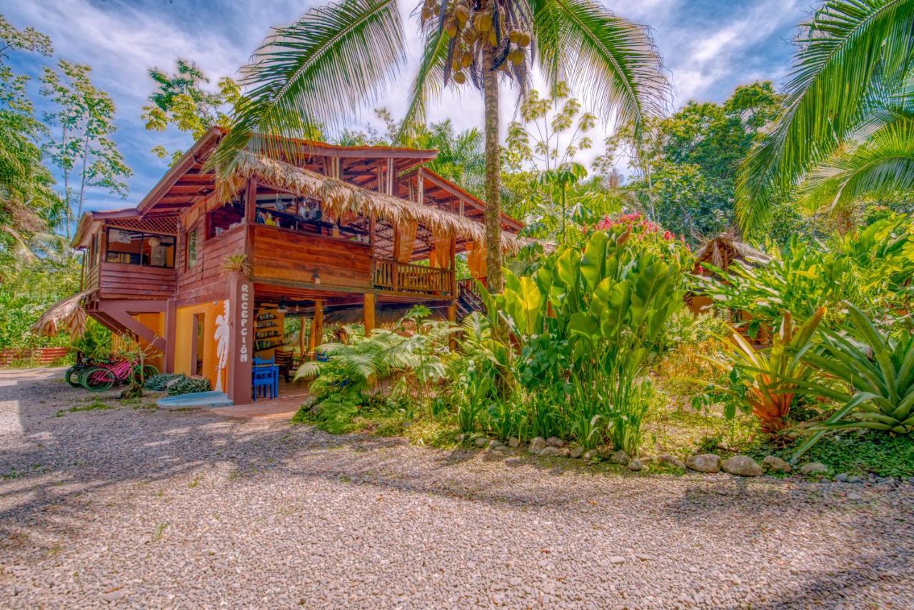 Caribe Town Bungalows Puerto Viejo de Talamanca Exteriér fotografie